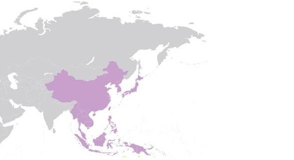 ediscovery-in-apac3