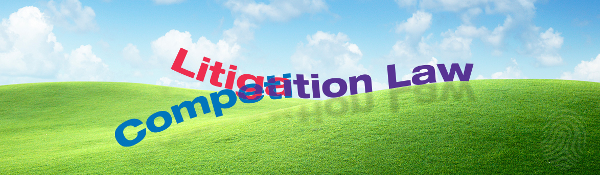 img_competition-litigation-law
