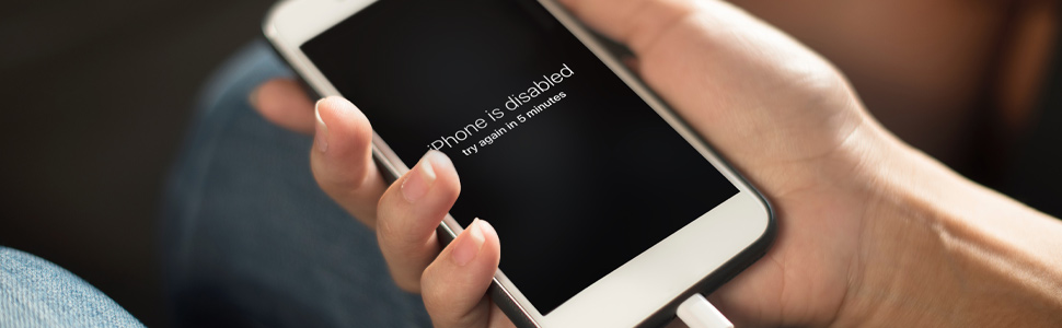 DST_image_970x300_hero-disabled-phone