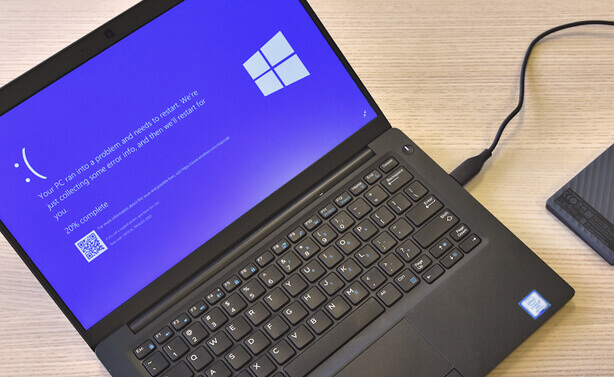Ext. Harddisk med Laptop BlueScreen Ext. Harddisk med Laptop BlueScreen